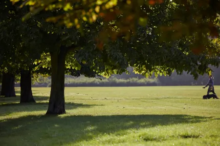 Mandarin Oriental Hyde Park, London