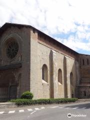 Cathedrale Notre-Dame-du-Bourg de Digne