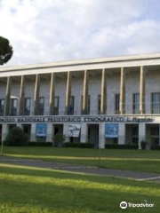 National Museum of Prehistory and Ethnography "Luigi Pigorini"