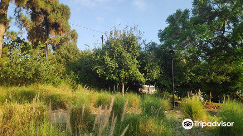 Givatayim Observatory and Garden