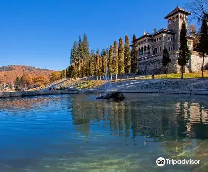 絶対に行くべきブシュテニの観光スポット トリップドットコム