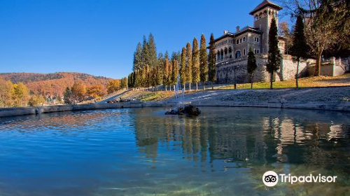 Cantacuzino Castle