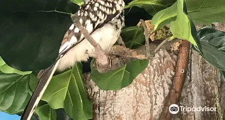 Harber Wildlife Museum