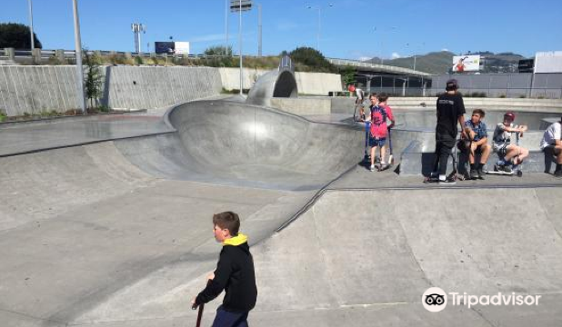 Washington Way Skate Park