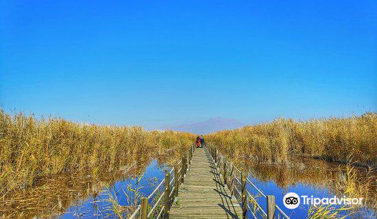 Sultansazlığı Milli Parkı