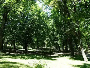 Parco botanico