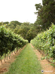 Cellar Door - Mantons Creek Estate