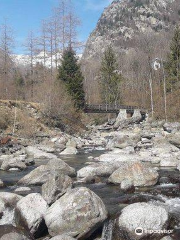 Riserva di Pesca Turistica del Torrente Forzo