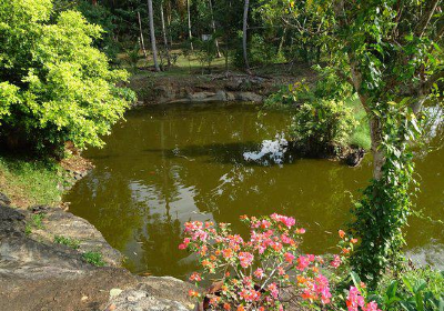 Amadahara Buddhist Monastery Pinnawala