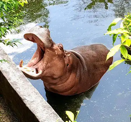 Amphoe Bang Klam