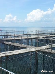 Khung Kraben Bay Aquaculture Demonstration Unit