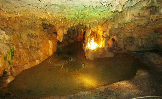 Woodward Cave