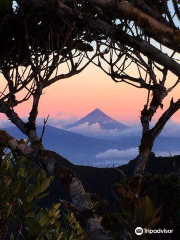 Mt. Isarog National Park