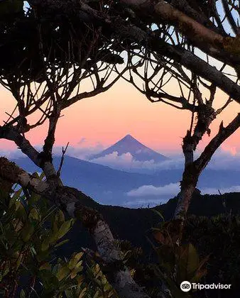 Mt. Isarog National Park