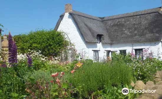 John Clare Cottage, Cafe, Shop and Beautiful Garden