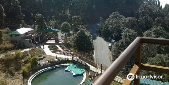 Himalayan Botanical Garden