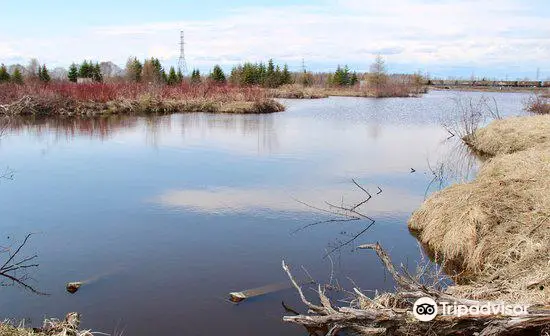 Mission Marsh Conservation Area - Parking Lot