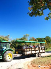 Apple Hill Orchard & Cider Mill
