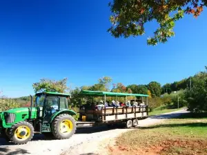 Apple Hill Orchard & Cider Mill