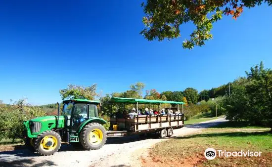 Apple Hill Orchard and Cider Mill