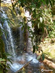 Cachoeira da Neblina