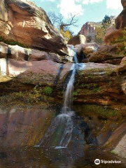 Lower Pine Creek Waterfall