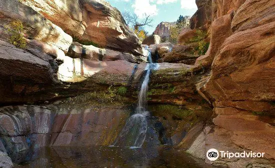 Lower Pine Creek Waterfall