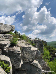 Dolly Sods Wilderness Area