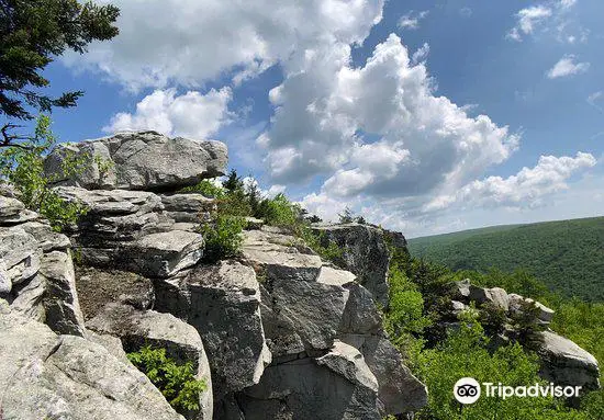 Dolly Sods Wilderness Area