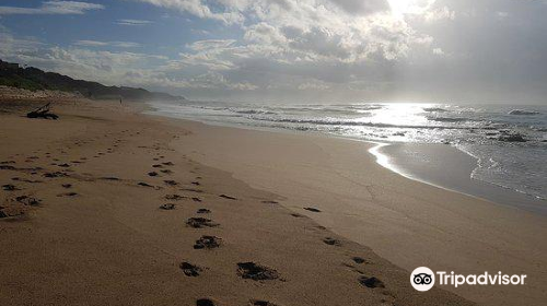 Umhlanga Beach