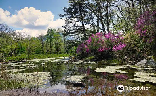 Izumiyado Pond