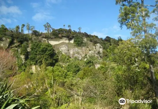 Nikau Cave & Cafe