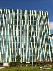 University of Aberdeen Library