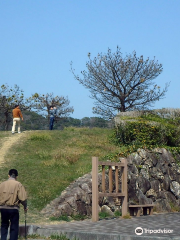 高知県立池公園