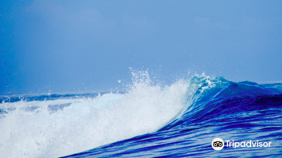 Abundance Water Sports