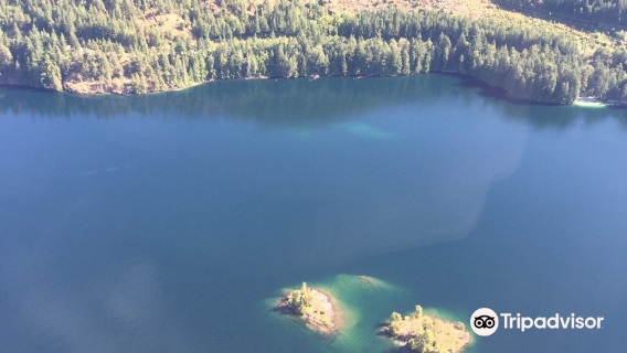 Harbour Air Seaplanes