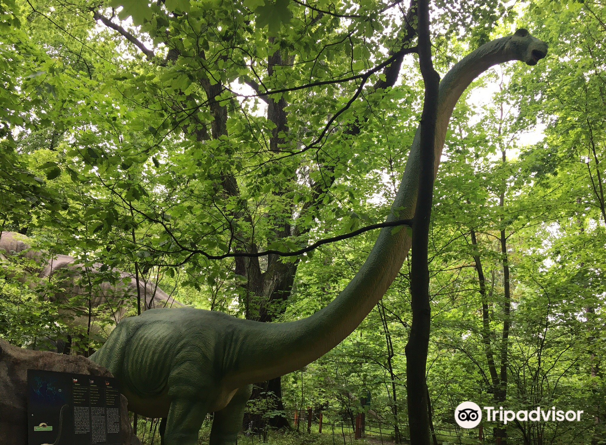 Latest travel itineraries for Dinosaur Park and Leisure Dinolandia in  December (updated in 2023), Dinosaur Park and Leisure Dinolandia reviews,  Dinosaur Park and Leisure Dinolandia address and opening hours, popular  attractions, hotels