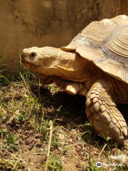 Haifa Zoo