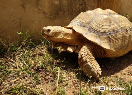 Haifa Zoo
