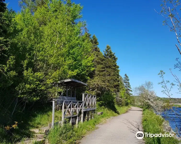 Antigonish Landing Trail