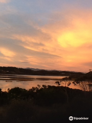 Lake Ngatu Track