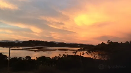 Lake Ngatu Track