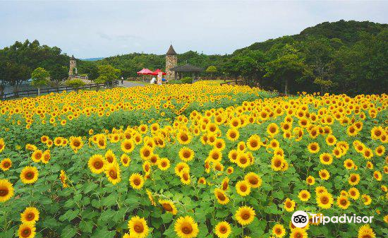 兵庫 淡路ファームパーク イングランドの丘 入場Eチケット 予約