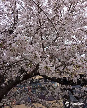 千代田区立外濠公園