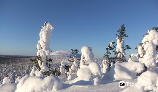 Amethyst Mine Lapland