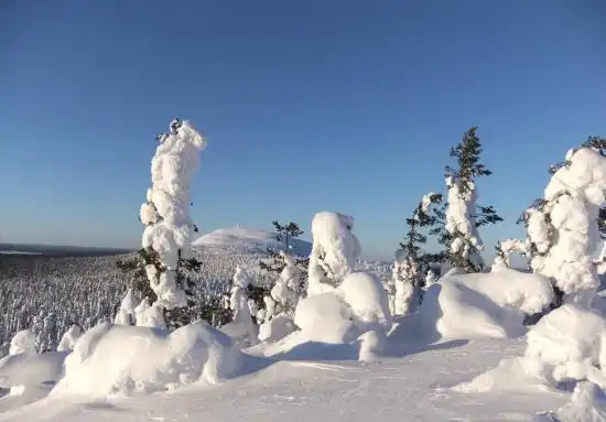 Hotels near Amethyst Mine Lapland