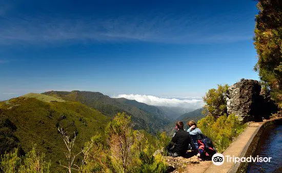 Levada do Alecrim