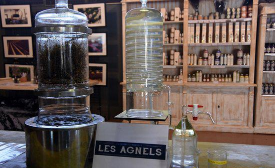 Les Agnels Distillerie de Lavande