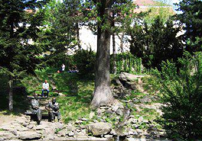 Alpine Garden
