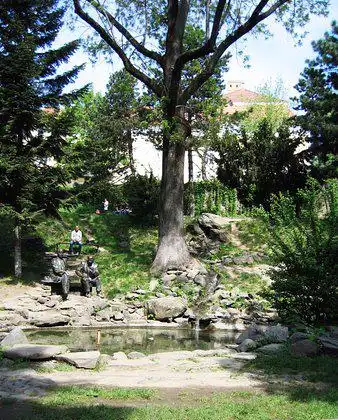 Hotels near Alpine Garden